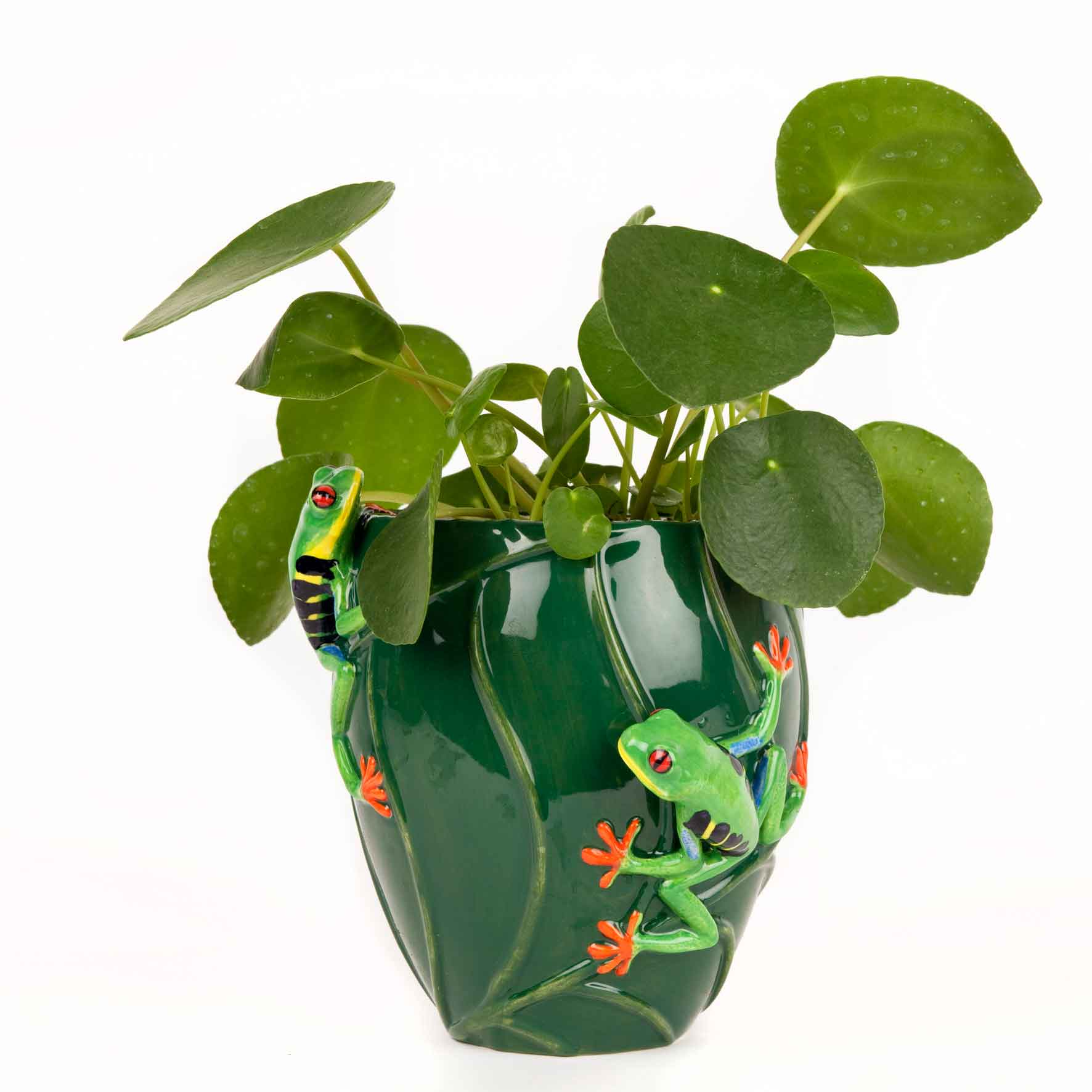 "Tree Frog" - die besondere Blumenvase von Quail Ceramics  