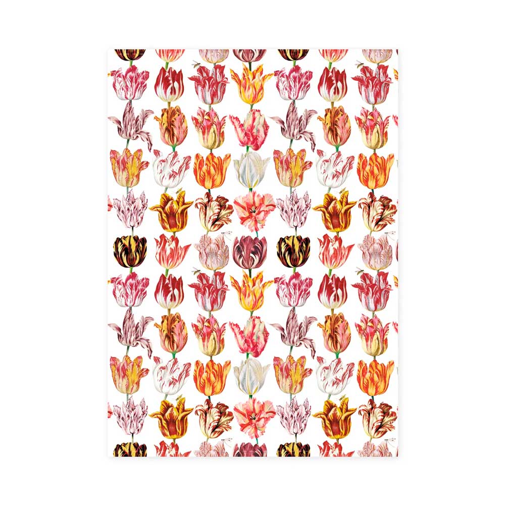 "Tulpen" - Geschirrtuch / Jacob Marrel