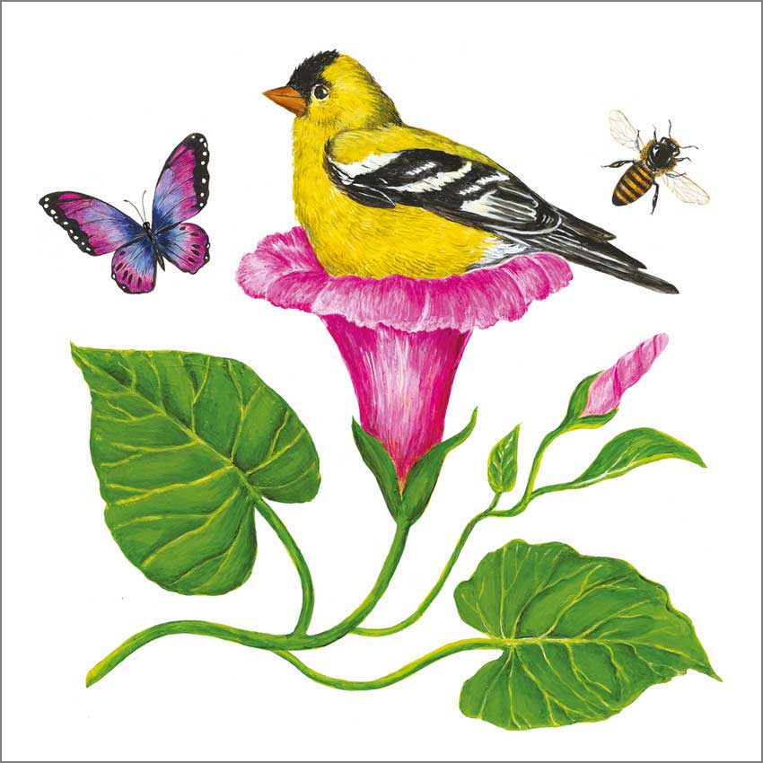 "Morning Glory Nest", große Papierservietten von PPD "Morning Glory Nest", große Papierservietten von PPD