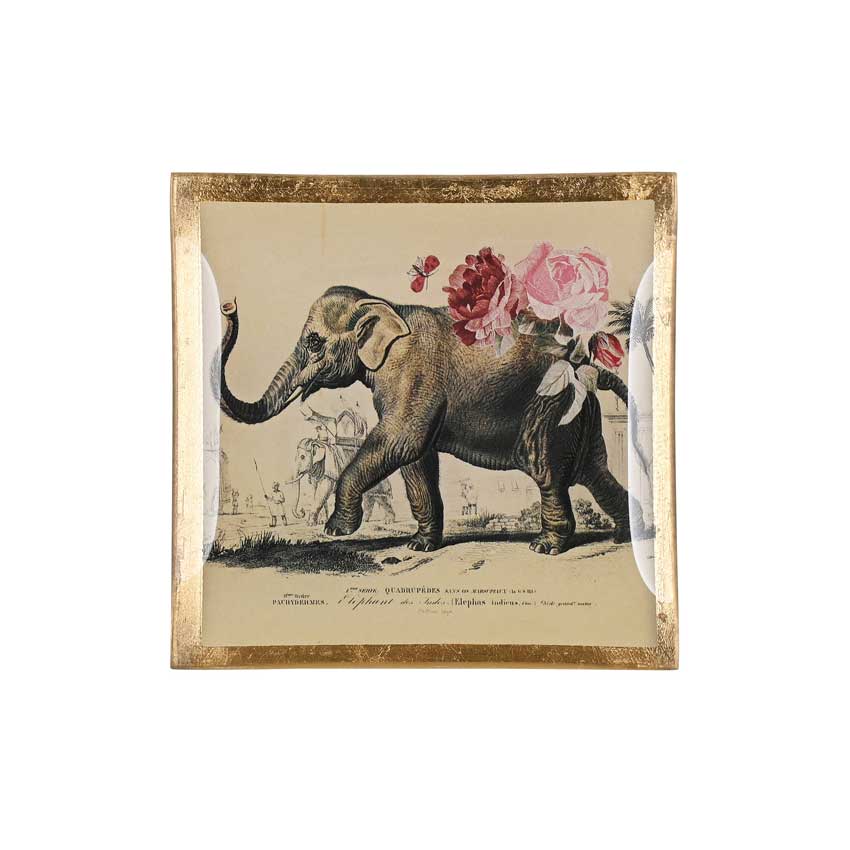 Love Plates - Glasteller "Elefant" von Gift Company Love Plates - Glasteller "Elefant" von Gift Company