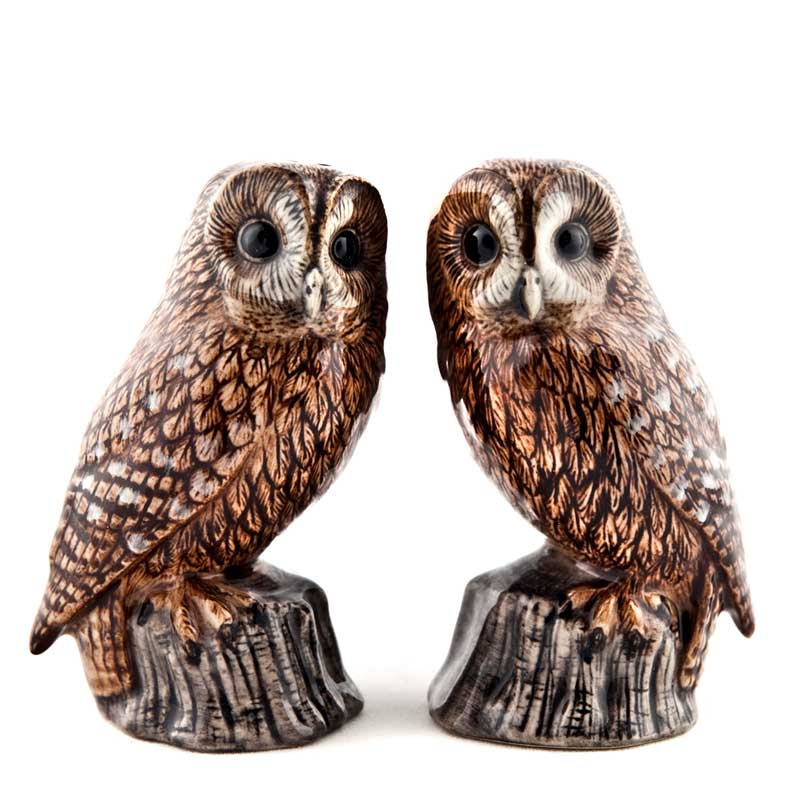 Tawny Owl - die Salz und Pfeffer Streuer von Quail Ceramics 