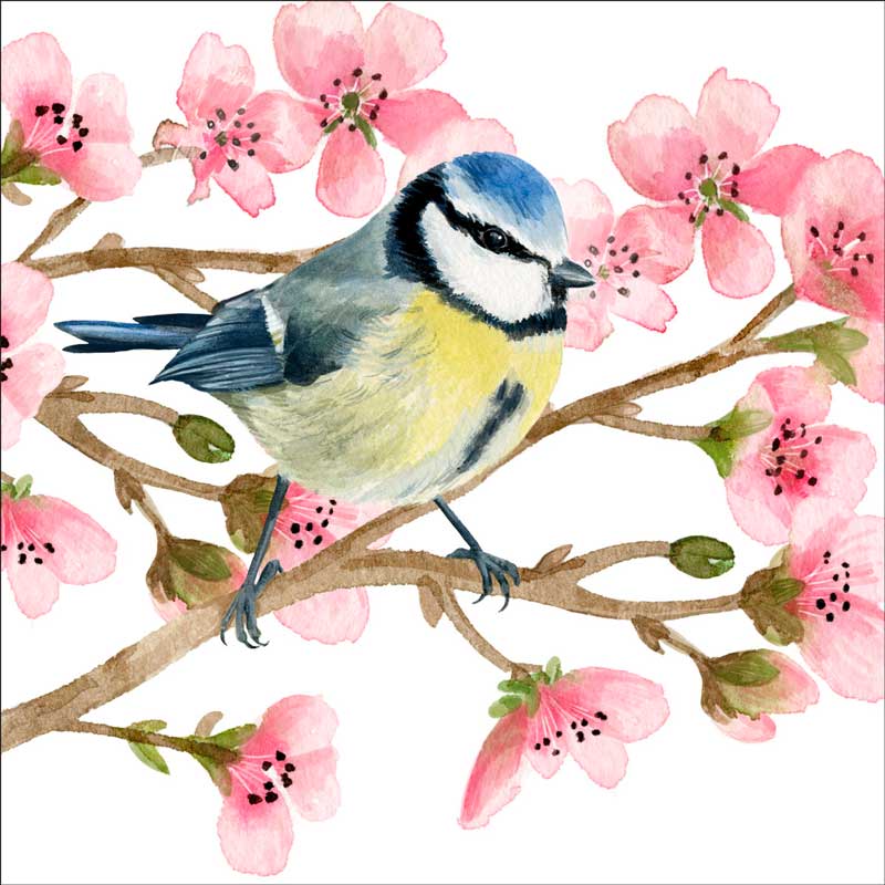 "Oiseau Printemps", große Papierservietten von PPD "Oiseau Printemps", große Papierservietten von PPD