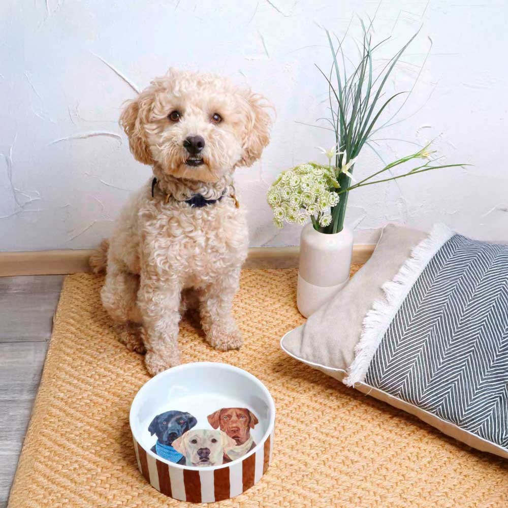 Hochwertige Futternäpfe mit Stil – im Lebenswerte Shop findest du liebevoll designte Näpfe für Hunde und Katzen, die Funktionalität und Ästhetik perfekt verbinden.