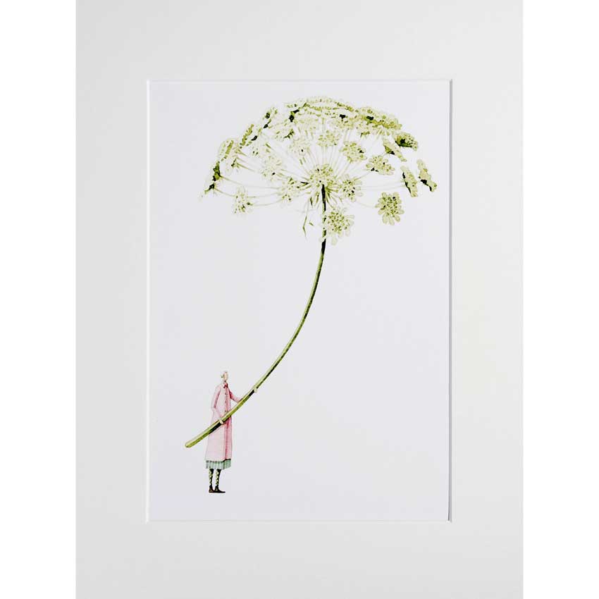 Illustration von Laura Stoddart: Eine kleine, elegante Figur in rosa Mantel hält den Stiel einer riesigen weißen Ammi-Blüte, deren feine Dolden sich schirmförmig ausbreiten, auf weißem Hintergrund.