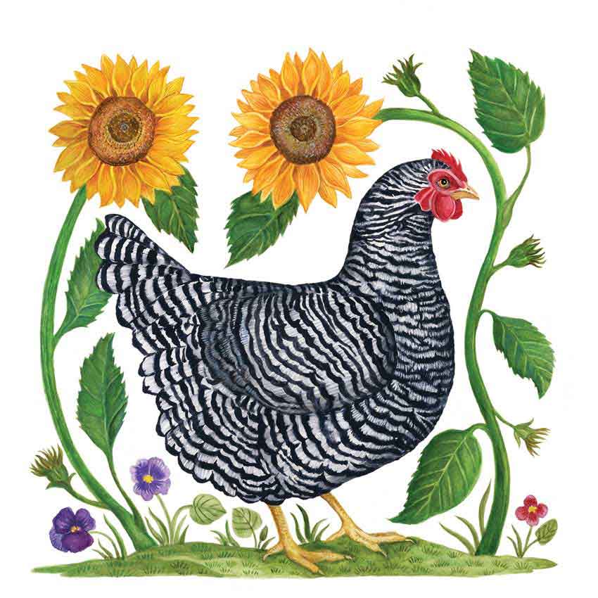 "Heavenly Hen", große Papierservietten von PPD "Heavenly Hen", große Papierservietten von PPD