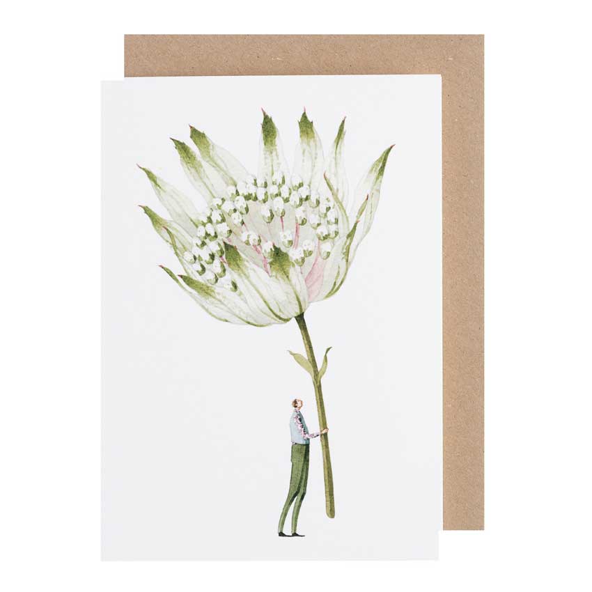 Grußkarte Astrantia von Laura Stoddart – feine Illustration eines Mannes, der eine große weiße Astrantia-Blüte hält, auf weißem Hintergrund mit naturbraunem Kuvert