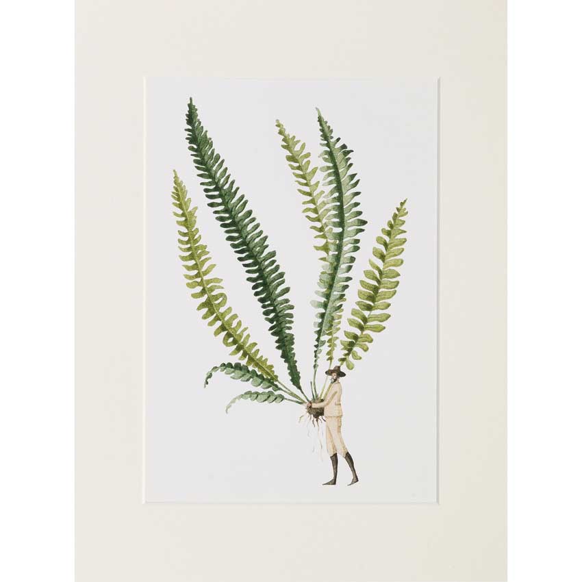 Art Print „Fern 1“ von Laura Stoddart – üppige Farnwedel in Aquarelloptik mit kleiner Figur, hochwertiger Giclée-Kunstdruck