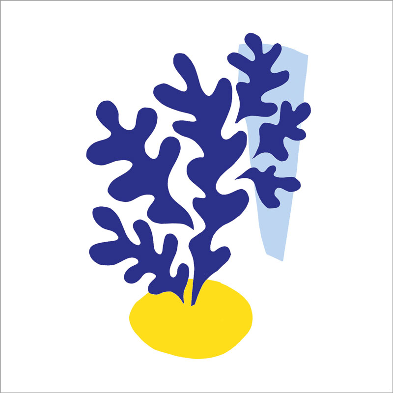 "Maritime Plante", große Papierservietten von PPD "Maritime Plante", große Papierservietten von PPD