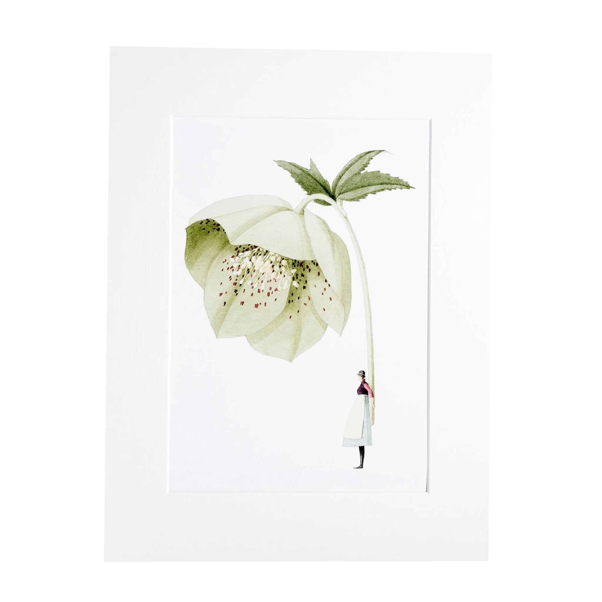 "GREEN HELLEBORE"- ART PRINT - liebenswerte und skurrile Kunst von Laura Stoddart