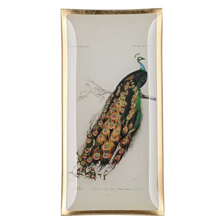Love Plates - Glasteller "Pfau 1" von Gift Company Love Plates - Glasteller "Pfau 1" von Gift Company