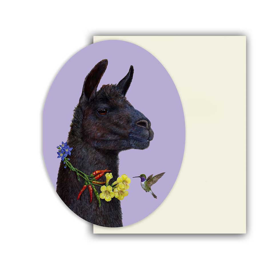 Grußkarte Bahama Llama von Vicki Sawyer – originelle Kunstkarte mit Illustration eines schwarzen Lamas mit buntem Blumenkranz und Kolibri auf lavendelfarbenem Hintergrund, inklusive Kuvert.