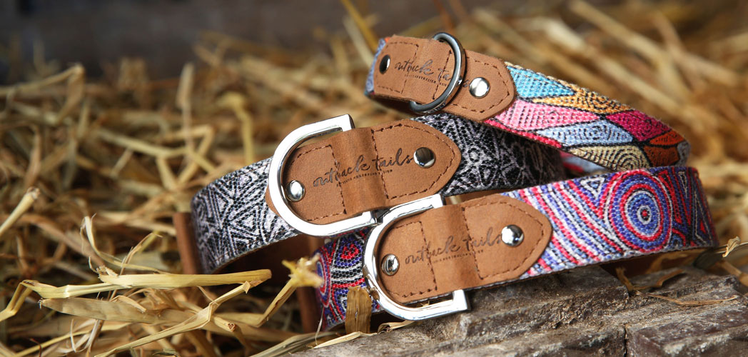 Hundehalsbänder von Outback Tails – nachhaltige Halsbänder aus Canvas & Leder mit farbenfrohen Aboriginal-Mustern. Hochwertig, langlebig & einzigartig.