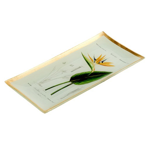 Love Plates - Glasteller "Strelitzia" von Gift Company 