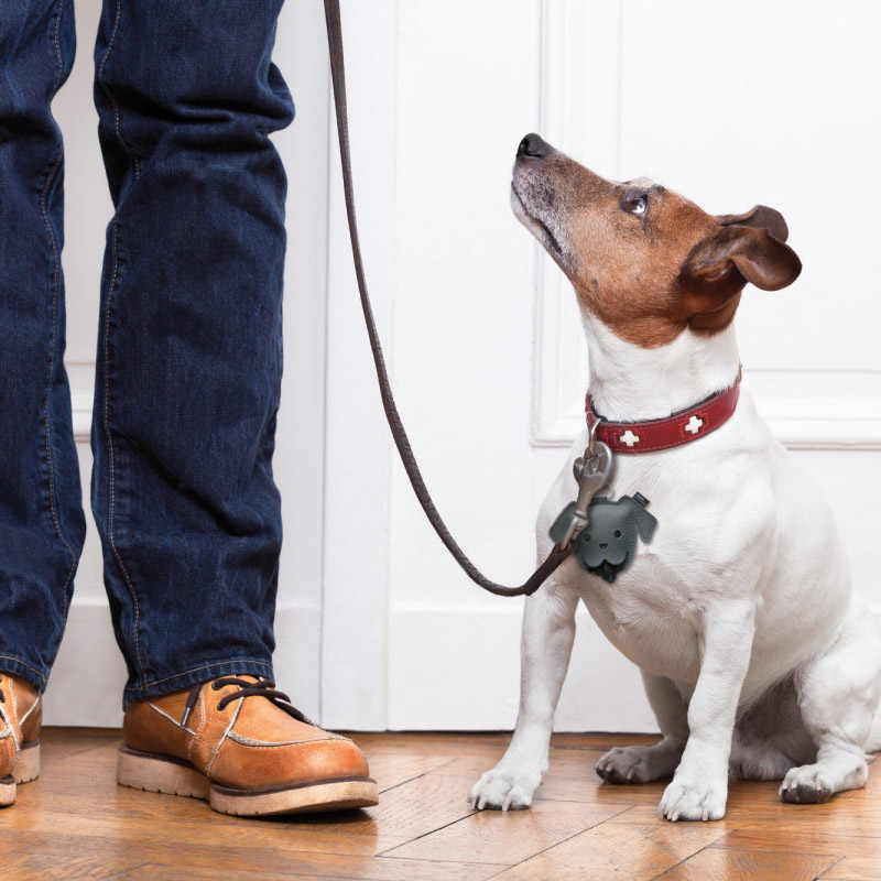 Puppy Gassibags – kompakte Hundekotbeutelspender im modernen Design, ideal für unterwegs, langlebig und leicht zu befestigen.