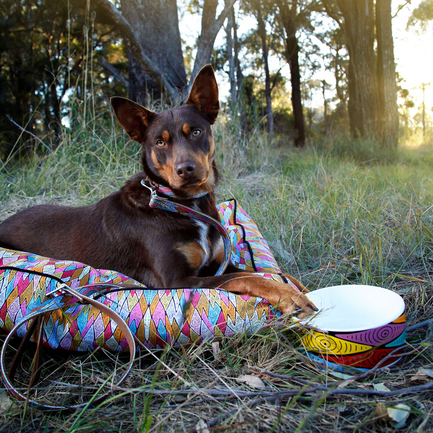 Hundebett "Sand Dunes" rechteckig Hundebett "Sand Dunes" rechteckig