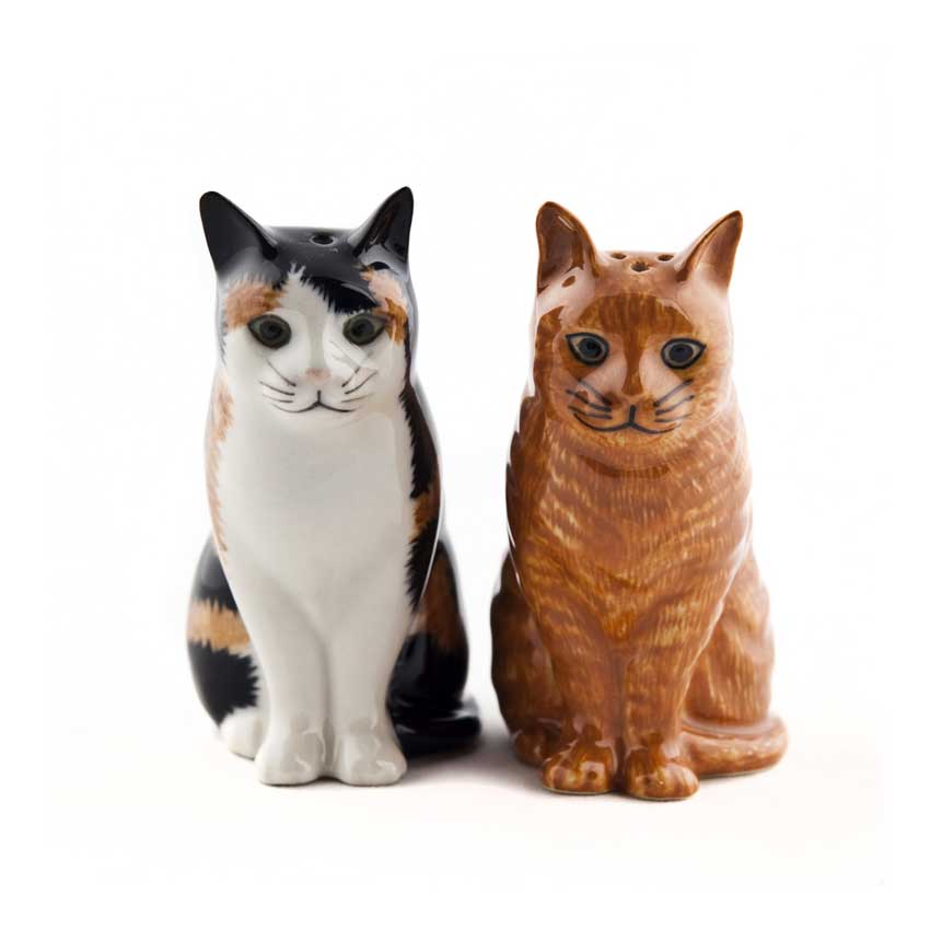 Eleanor & Vincent - die Salz und Pfeffer Streuer von Quail Ceramics 